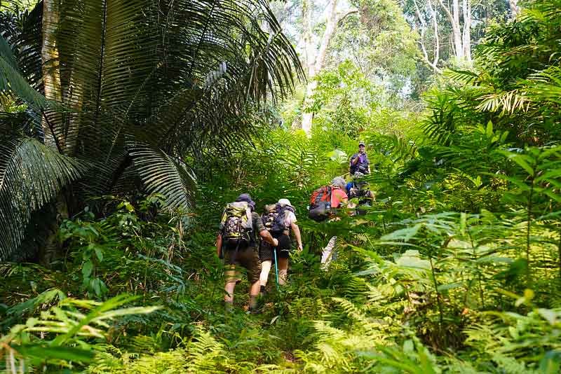 2 Days Babe National Park Trekking and Kayaking